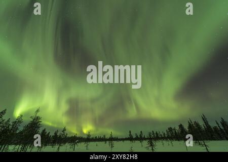 Nordlichter (Aurora borealis) über verschneite Landschaft, Gaellivare, Norrbotten, Lappland, Schweden, November 2012, Europa Stockfoto