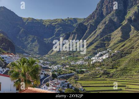 Tal von Agaete, Barranco de Agaete, Agaete, Gran Canaria, Kanarische Inseln, Spanien, Agaete, Gran Canaria, Kanarische Inseln, Spanien, Europa Stockfoto