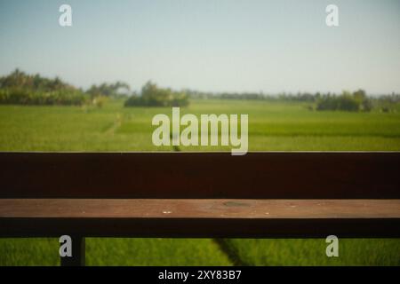 Blick auf Reisfelder von der Balkonterrasse eines Zimmers auf dem Land Stockfoto