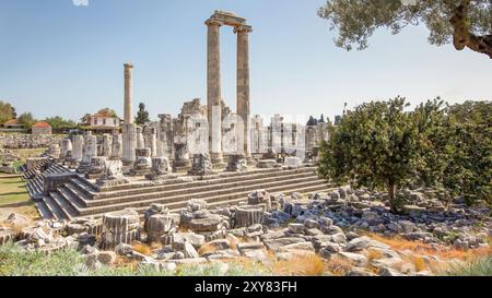 Ein Blick auf die Ruine des Apollo-Tempels in Didyma, Türkei. Stockfoto