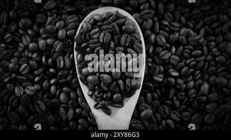 Ein Haufen Kaffeebohnen, die zusammen gestapelt sind und zu einer köstlichen Tasse Kaffee gebrüht werden können. Nahaufnahme gerösteter Arabica-Kaffeebohnen. Verschiedene Typen Stockfoto