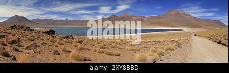 Laguna Miscanti in der Atacamawüste in Chile Stockfoto