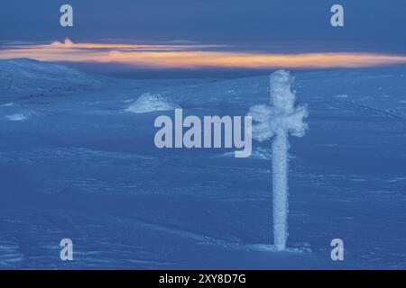 Winterlandschaft auf Mount Dundret, Dundret Nature Reserve, Gaellivare, Norrbotten, Lappland, Schweden, Dezember 2014, Europa Stockfoto