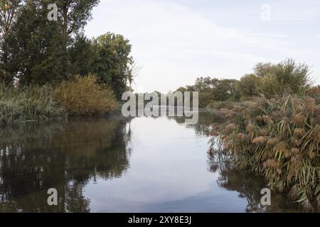 Isar altes Wasser, Isar Rückwasser Stockfoto