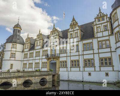 Historisches Renaissanceschloss mit imposantem Turm, vielen Fenstern und einem ruhigen Graben unter leicht bewölktem Himmel, Schloss Neuhaus, Deutschland, Europa Stockfoto