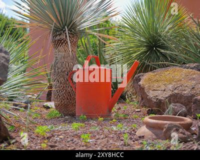 Eine orangene Gießkanne steht auf dem Sand im Garten zwischen kleinen Palmen. Stockfoto