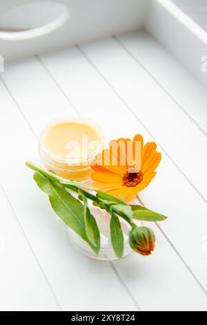 Salve mit Calendula officinalis, der Ringelblume, Ringelblume, Ruddles, Marys Gold oder Scotch Ringelblume. Glas mit medizinischem Balsam auf weiß. Stockfoto