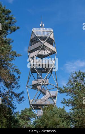 Feueraussichtsturm / Wildfeuerwachturm im Grenspark Kalmthoutse Heide / Kalmthout Heide, Naturschutzgebiet im Sommer, Flandern, Belgien Stockfoto