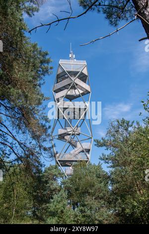 Feueraussichtsturm / Wildfeuerwachturm im Grenspark Kalmthoutse Heide / Kalmthout Heide, Naturschutzgebiet im Sommer, Flandern, Belgien Stockfoto