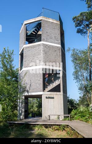 Feueraussichtsturm / Wildfeuerwachturm de Stapper im Grenspark Kalmthoutse Heide / Kalmthout Heide, Naturschutzgebiet im Sommer, Flandern, Belgien Stockfoto