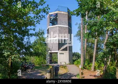 Feueraussichtsturm / Wildfeuerwachturm de Stapper im Grenspark Kalmthoutse Heide / Kalmthout Heide, Naturschutzgebiet im Sommer, Flandern, Belgien Stockfoto