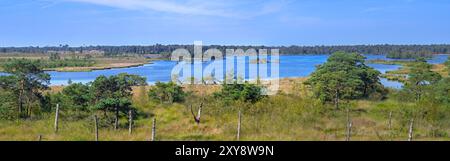 Blick vom Aussichtsturm de Stapper über Stappersven, Fen in Grenspark Kalmthoutse Heide / Kalmthout Heide, Naturschutzgebiet im Sommer, Flandern, Belgien Stockfoto