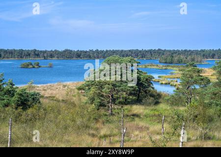 Blick vom Aussichtsturm de Stapper über Stappersven, Fen in Grenspark Kalmthoutse Heide / Kalmthout Heide, Naturschutzgebiet im Sommer, Flandern, Belgien Stockfoto