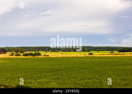 Wunderschöne Aussicht vom beweglichen Autofenster auf landwirtschaftliche Felder mit Wald in der Ferne. Schweden. Stockfoto