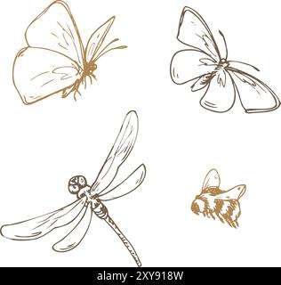 Insekten Schmetterlinge, Libellen und Hummeln. Strichgrafik ist eine einfache handgezeichnete Illustration in beige, ockerfarbene und braune Tinte. Isolierter Vektor-EPS-Satz von Stock Vektor