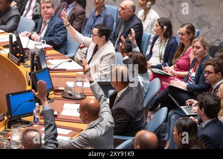 New York, USA. August 2024. Botschafter Robert Wood von den USA stimmt für die Annahme der Resolution zur Mandatsverlängerung der UN-Interimstruppe im Libanon (UNIFIL) am 28. August 2024 im UN-Hauptquartier in New York ab. (Foto: Lev Radin/SIPA USA) Credit: SIPA USA/Alamy Live News Stockfoto