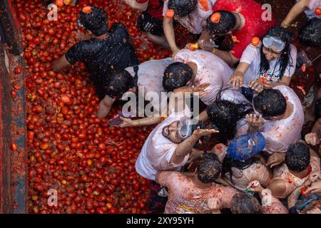 Valencia, Spanien. August 2024. Ein Mann ruft die Leute auf dem Truck an, die Tomaten während des Tomatina-Festivals werfen. Wieder einmal fand das beliebte Festival La Tomatina in der valencianischen Stadt Buñol statt. Sechs Lkw mit 120.000 kg Tomaten wurden unter 22.000 Teilnehmern des Festivals geworfen. Quelle: SOPA Images Limited/Alamy Live News Stockfoto