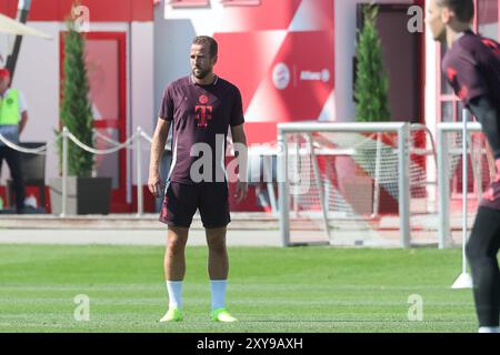 Harry Kane (FC Bayern München, 09), Oeffentliches Training, FC Bayern München, Fussball, Saison 24/25, 28.08.2024, Foto: Eibner-Pressefoto/Jenni Maul Stockfoto