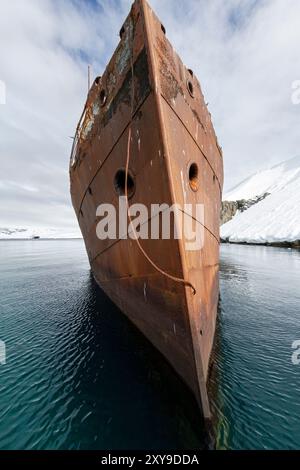 Blick auf das Wrack der Guvernoren, einem Walverarbeitungsschiff aus dem 20. Jahrhundert auf den Enterprise Islands in der Antarktis. Stockfoto