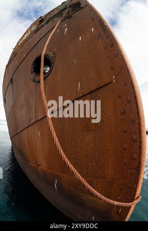 Blick auf das Wrack der Guvernoren, einem Walverarbeitungsschiff aus dem 20. Jahrhundert auf den Enterprise Islands in der Antarktis. Stockfoto