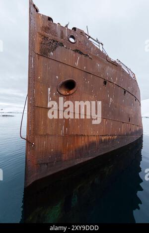 Blick auf das Wrack der Guvernoren, einem Walverarbeitungsschiff aus dem 20. Jahrhundert auf den Enterprise Islands in der Antarktis. Stockfoto