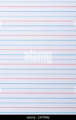 Notizbuchseite mit roter und blauer Linienraster Nahansicht Stockfoto