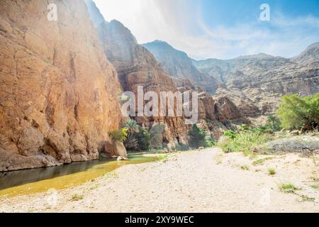 Grüne Oase mit Palmen und Fluss mitten im Wadi Shab Canyon, Tiwi, Sultanat Oman Stockfoto