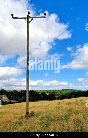 Mehrere hölzerne Telefontelegrafen Strommasten Transformatoren und Kabel auf dem Land führen zum Dorf Blanchland vor tiefblauem Himmel und Stockfoto