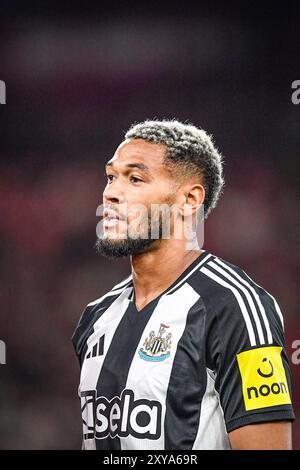 The City Ground, Nottingham, Großbritannien. August 2024. Carabao Cup Second Round Football, Nottingham Forest gegen Newcastle United; Joelinton of Newcastle Credit: Action Plus Sports/Alamy Live News Stockfoto