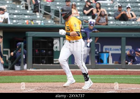 25. August 2024: Der Salt Lake Catcher Chad Wallach (35) erzielt einen Lauf während des Spiels mit dem Round Rock Express und Salt Lake Bees im Smiths Field in Salt Lake UT. David Seelig/Cal Sport Medi Stockfoto