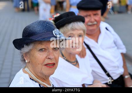 Bordeaux, Frankreich. August 2024. 2. Weltkrieg und NS-Besetzung: Gedenktag zum 80. Jahrestag der Befreiung Bordeaus durch den Widerstand Stockfoto