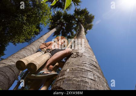 Ein Bauer, der Zuckerpalmennektar erntet, Kampong Chhnang, Kambodscha. Stockfoto