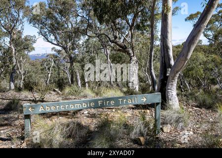 Abercrombie River Nationalpark in der Nähe von Oberon, New South Wales, Australien Stockfoto