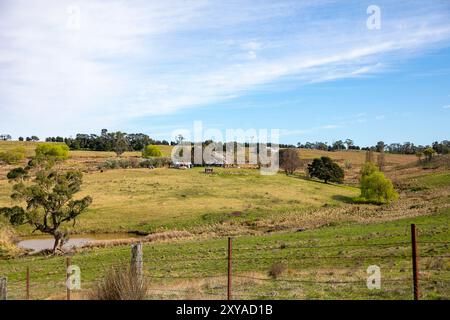 Abercrombie River Nationalpark in der Nähe von Oberon, New South Wales, Australien Stockfoto