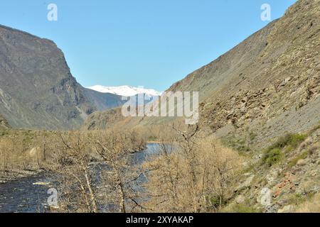 Ein Blick von der Spitze über die Baumkronen zu einem weiten stürmischen Fluss, der an einem sonnigen Frühlingstag in einen Bergschlucht gepresst wird. Chulyshman River, Altai, Sibirien, Stockfoto