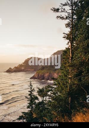 Der Leuchtturm Heceta Head thront an einem Sommerabend auf einem fernen Kliff mit Blick auf den Pazifischen Ozean. Stockfoto