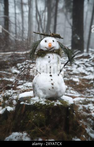 Schneemann auf einem Baumstumpf mit einer Karotte für die Nase, Knöpfen, einem Zweig für Arme und Kiefernnadeln für Haare. Im schneebedeckten Wald Stockfoto