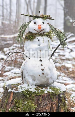 Schneemann auf einem Baumstumpf mit einer Karotte für die Nase, Knöpfen, einem Zweig für Arme und Kiefernnadeln für Haare. Im schneebedeckten Wald Stockfoto