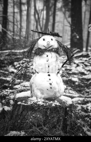 Schneemann auf einem Baumstumpf mit einer Karotte für die Nase, Knöpfen, einem Zweig für Arme und Kiefernnadeln für Haare. Im schneebedeckten Wald Stockfoto