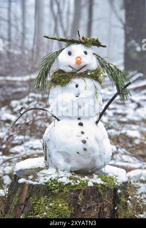 Schneemann auf einem Baumstumpf mit einer Karotte für die Nase, Knöpfen, einem Zweig für Arme und Kiefernnadeln für Haare. Im schneebedeckten Wald Stockfoto