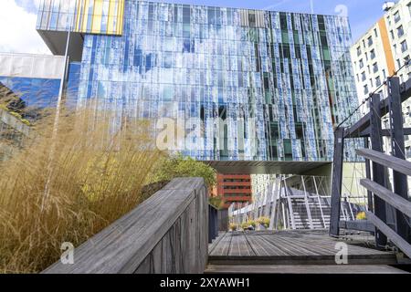 Grünflächen um Gebäude, hier bei Hogeschool Inholland Rotterdam, Pflanzbeete an Durchgängen, grüne Wände und Dächer, Rotterdam, Niederlande Stockfoto