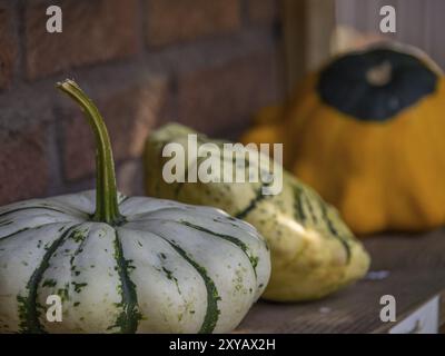Nahaufnahme von drei verschiedenen Kürbissen auf einem Holztisch vor einer Ziegelmauer, borken, münsterland, Deutschland, Europa Stockfoto