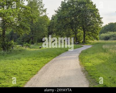 Ein gewundener Pfad durch grüne Landschaft und üppige Bäume, ideal für einen entspannenden Spaziergang an einem Sommertag, Proebstingsee, Borken, Münsterland, Deutschland, Eu Stockfoto