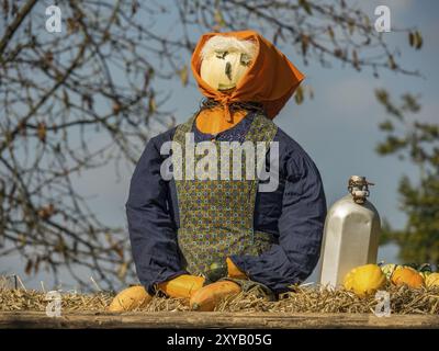 Herbstliche Vogelscheuche aus Stroh mit Tuch und Kürbissen, sitzend auf Stroh vor Bäumen, in blau und orange, borken, münsterland, Deutschland, Europ Stockfoto