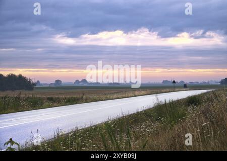 Landstraße mit Kurve führt durch landwirtschaftliche Felder. Schwere Wolken am Himmel. Landschaftsaufnahme aus Schweden Stockfoto