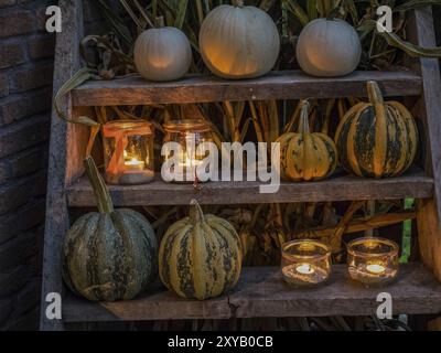 Weiß-gelb gestreifte Kürbisse und beleuchtete Kerzen auf einem Holzregal schaffen eine gemütliche Halloween-Atmosphäre bei Nacht, borken, münsterland, Deutschland Stockfoto