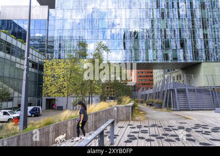 Grünflächen um Gebäude, hier bei Hogeschool Inholland Rotterdam, Pflanzbeete an Durchgängen, grüne Wände und Dächer, Rotterdam, Niederlande Stockfoto