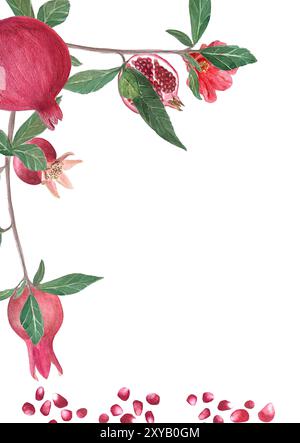 Ein Zweig mit Granatäpfeln, Blumen, Samen und Blättern Aquarellrahmen isoliert auf weiß. Handgezeichnetes realistisches Fruchtelement für Karten, Banner Stockfoto