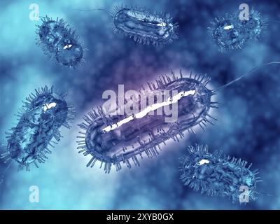 Gruppe von Escherichia coli-Bakterienzellen, allgemein bekannt als E. coli. E. coli ist eine häufige Art von Bakterien, die in die Nahrung gelangen können, wie Rindfleisch und Vegeta Stockfoto