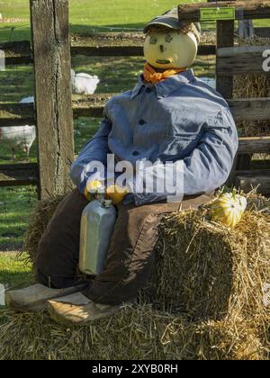 Vogelscheuche aus Stroh auf Heuballen, umgeben von Kürbissen und einer Bank, dekoriert im Herbst, borken, münsterland, Deutschland, Europa Stockfoto